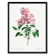 image 1 of Redoute Framed Wall Art Chinese Lilac Vintage Floral Illustration Home Décor