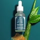 image 5 of Nature Spell 2% BHA + Sea moss Liquid Exfoliant (Salicylic Acid) – Skin Perfecting Tonic
