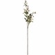image 1 of Wild Meadow Rose Artificial Flower - Fabric/Plastic - L15 x W15 x H74 cm - Cream