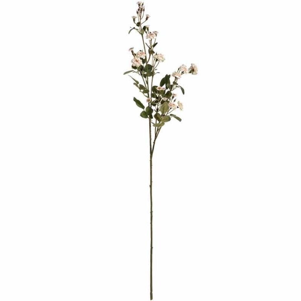 image 1 of Wild Meadow Rose Artificial Flower - Fabric/Plastic - L15 x W15 x H74 cm - Cream