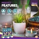 image 3 of 60pk Mountain Spring Scented Tealight Candles – 3.5hr Burn, Refreshing Fragrance for Home, Relaxation, Weddings & Cosy Evenings