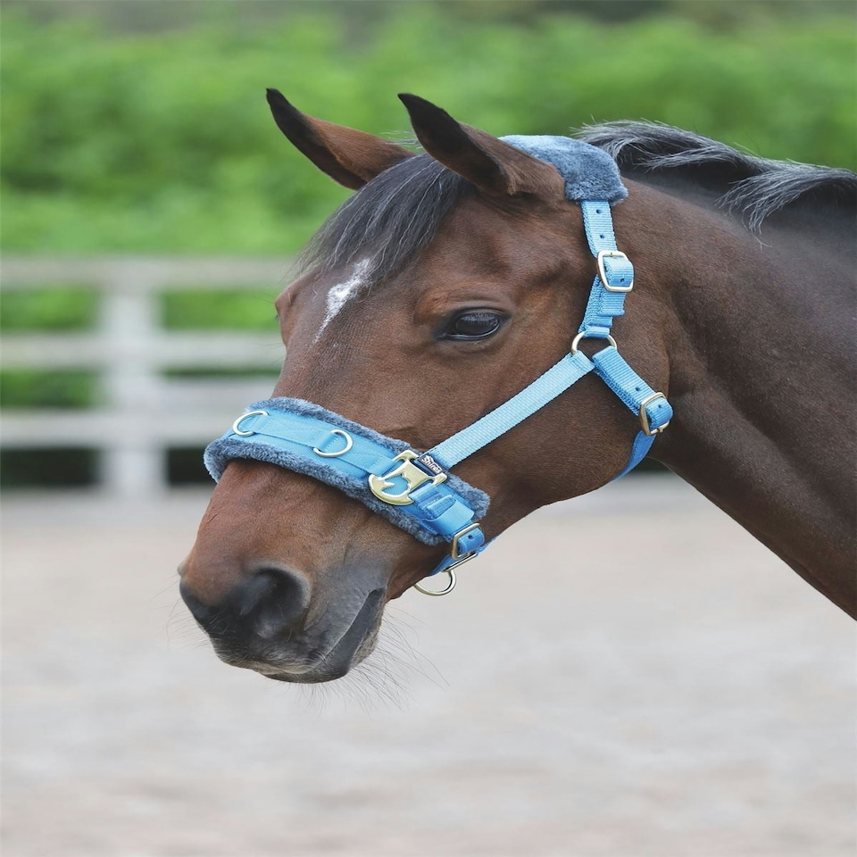 image 1 of Shires Fleece Lined Lunge Cavesson Blue | Size: Cob
Colour: Navy Blue