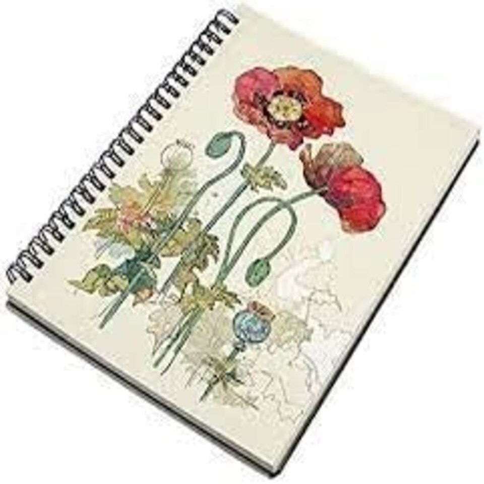 Bug Art Poppy A5 Notebook - 19 Stationery - RINGBOUND - 5056053229887