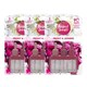 image 2 of Perfect Scents Peony and Jasmine Air Freshener Refill 3 Pack 20ml | Pink | 3 - Pink | 3