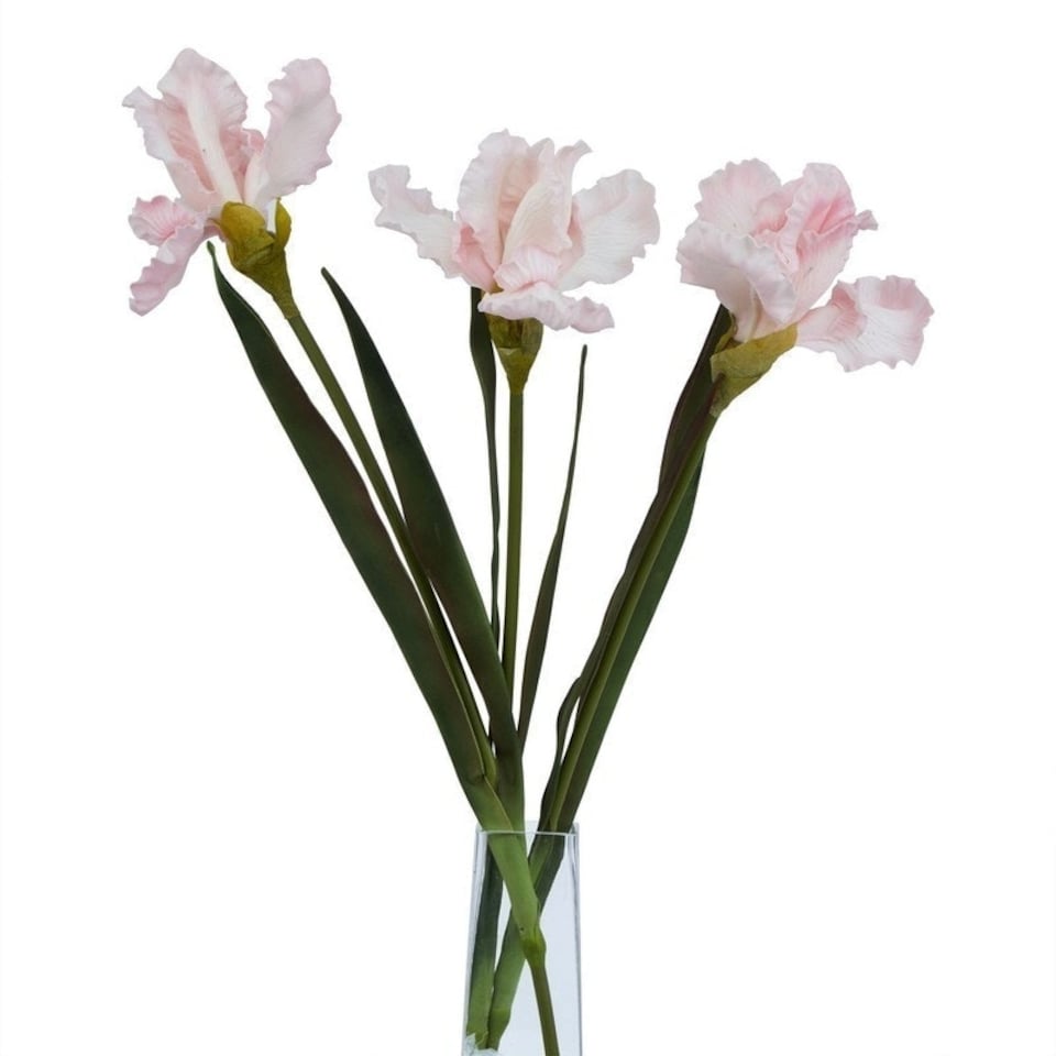 image 1 of The Natural Garden Collection Fringed Iris - Artificial Flower (Single Stem) - Plastic - L13 x W13 x H83 cm - Pale Pink