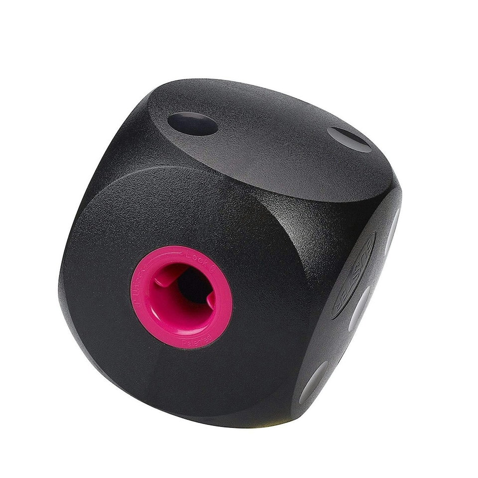 Buster Food Cube - Black - Large