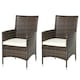 image 1 of Outsunny 2PC Outdoor Rattan Armchair Wicker Dining Chair Set Brown