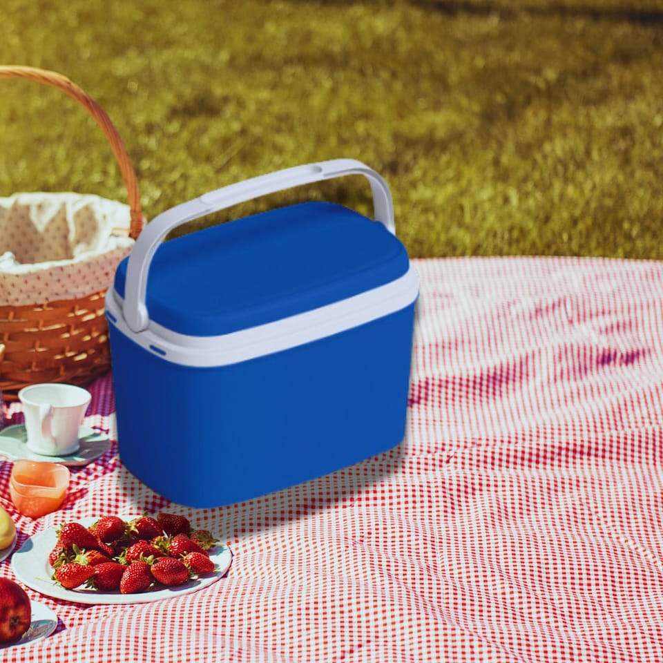 image 1 of 6L Cooler Box for Camping & Beach | Blue | 1