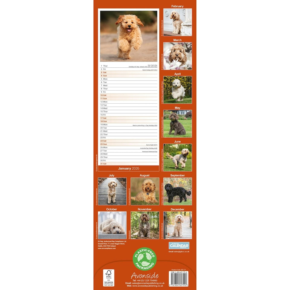 image 1 of Cockapoo Slim 2026 Calendar | Slimline Wall Calendar | Dog Breed Gift | Plastic Free Packaging | by Avonside Publishing [Calendar] Avonside Publishing Ltd
