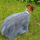 image 4 of Henry Wag Dog Drying Coat - Grey - Small