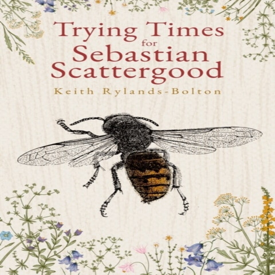 Trying Times For Sebastian Scattergood