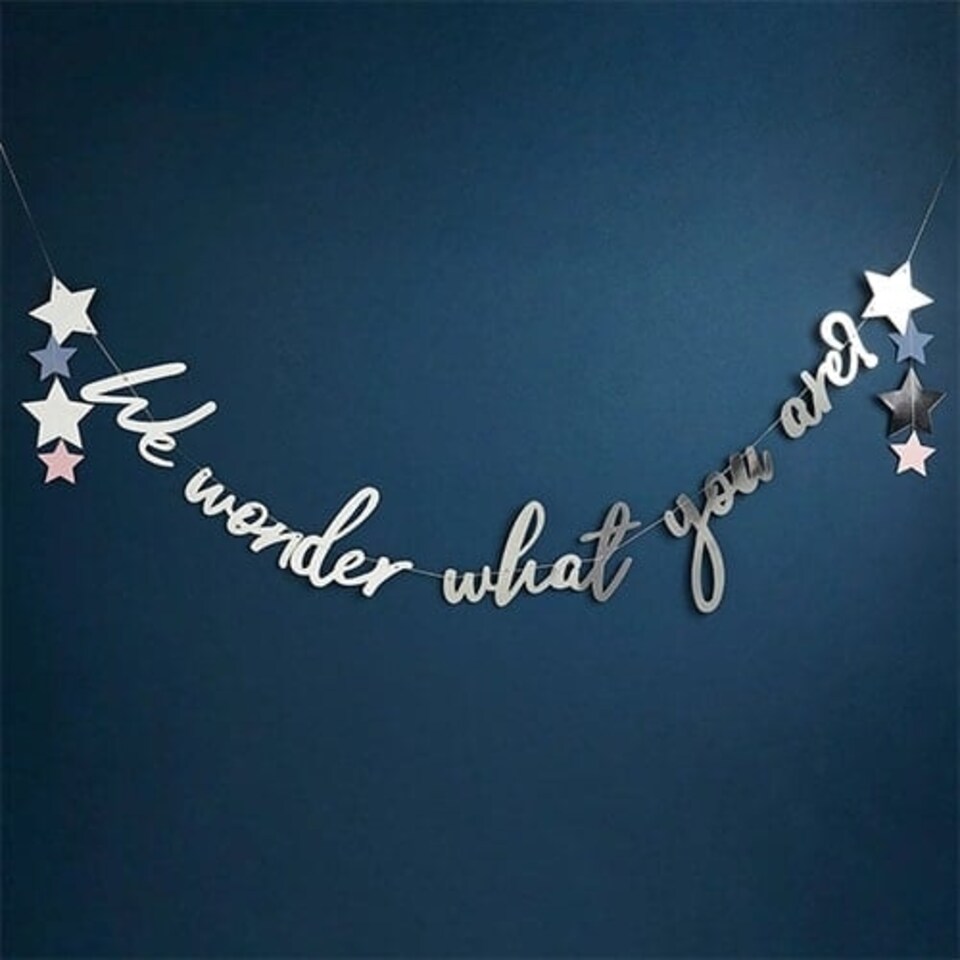 image 1 of Silver We Wonder What You Are Gender Reveal Foil Cardboard Letter Banner 200cm