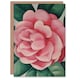 image 1 of Winter Rose Camellia Flower Watercolour Him Her Birthday Card