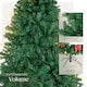 image 3 of Christmas Tree Dasher - artificial Christmas tree in green with lifelike look | Green | green | 1