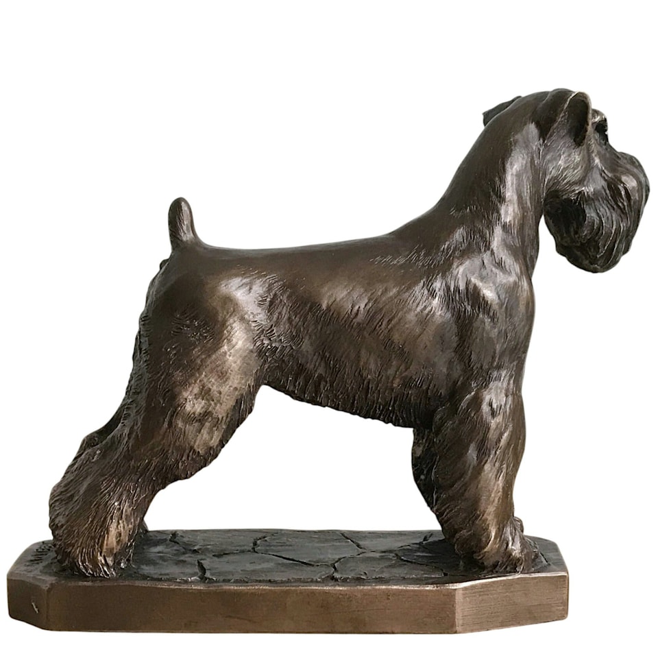 image 1 of Schnauzer Figurine On Base In Solid Cold Cast Bronze Designed By David Geenty