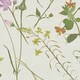 image 2 of AS Creation House Of Turnowsky Floral Textured Wallpaper - Beige/Multicoloured - 10m x 53cm Brown