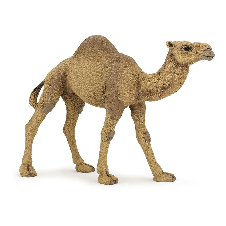 image 1 of PAPO Wild Animal Kingdom Dromedary Toy Figure
