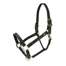 Velociti Lusso Girona Leather Headcollar Brown | Size: Cob
Colour: H.Brown