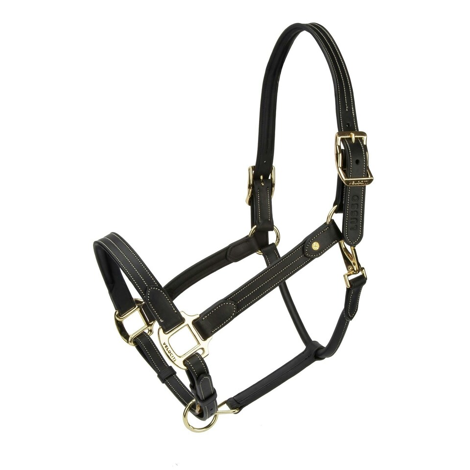 image 1 of Velociti Lusso Girona Leather Headcollar Brown | Size: Cob
Colour: H.Brown