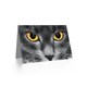 image 2 of Eyes Close Up Cat Art Blank Just to Say Card