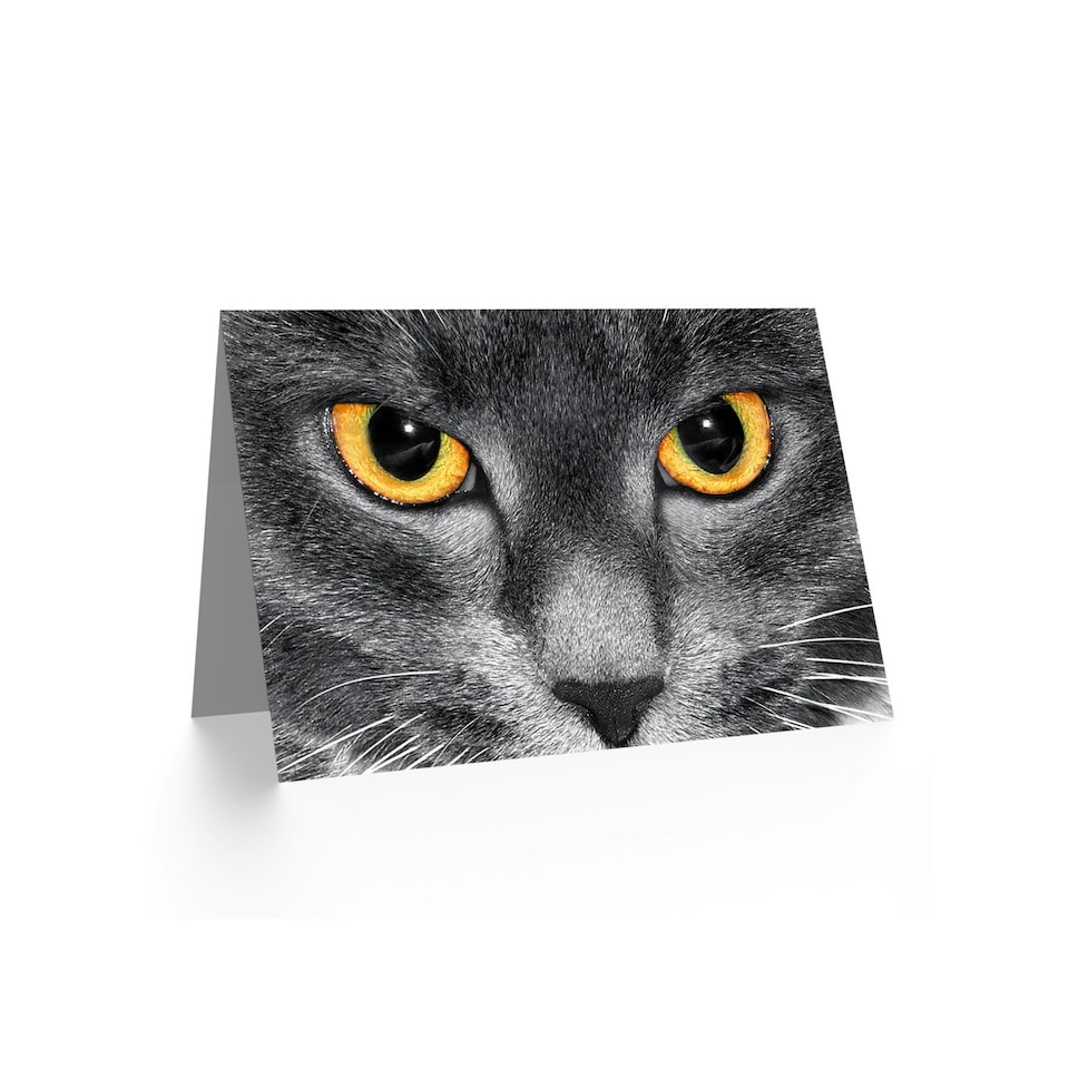 image 1 of Eyes Close Up Cat Art Blank Just to Say Card