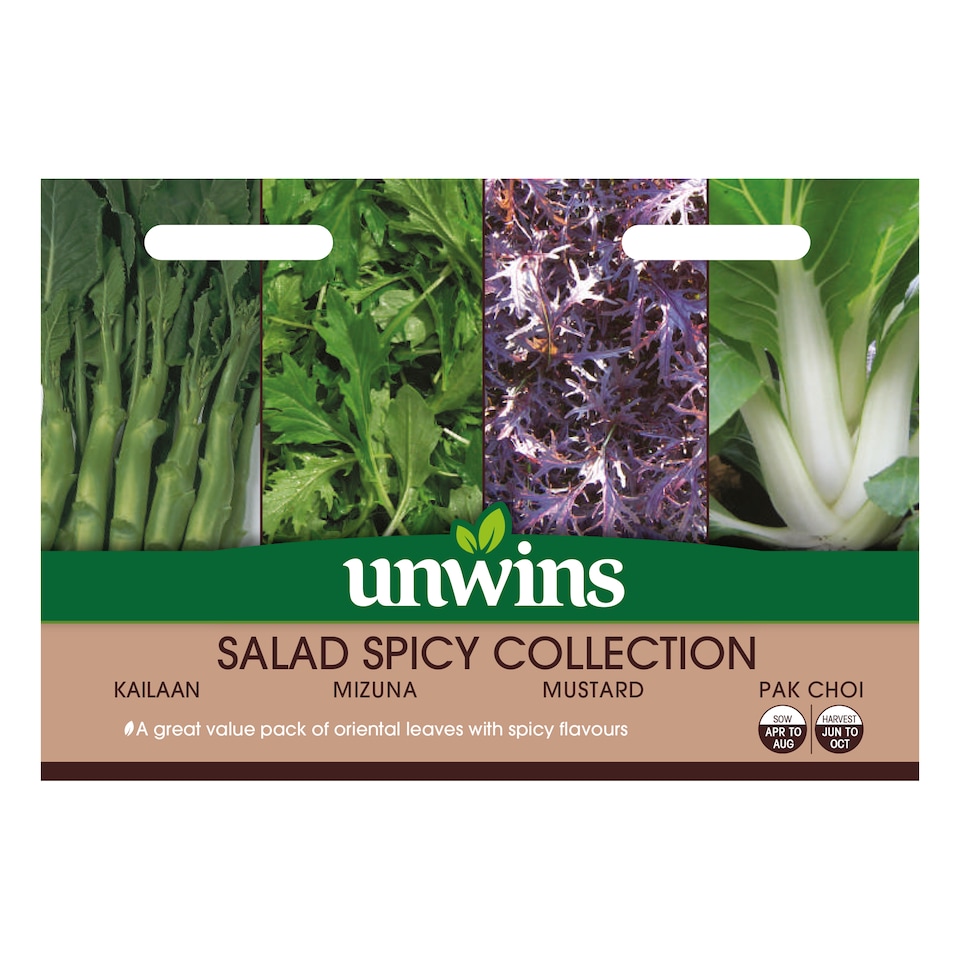 image 1 of Salad Spicy Collection Pack | Multi | Green, White, Purple | Seeds | 4