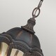 image 2 of Baton Rouge 4 Light Outdoor Ceiling Chain Lantern Walnut IP44, E14