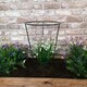 image 4 of Tom Chambers Urban Green Conical Garden Plant Support Ring 30cm -  Medium