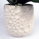 image 3 of 60cm Pure White Artificial Orchid with Ceramic Bubble Planter