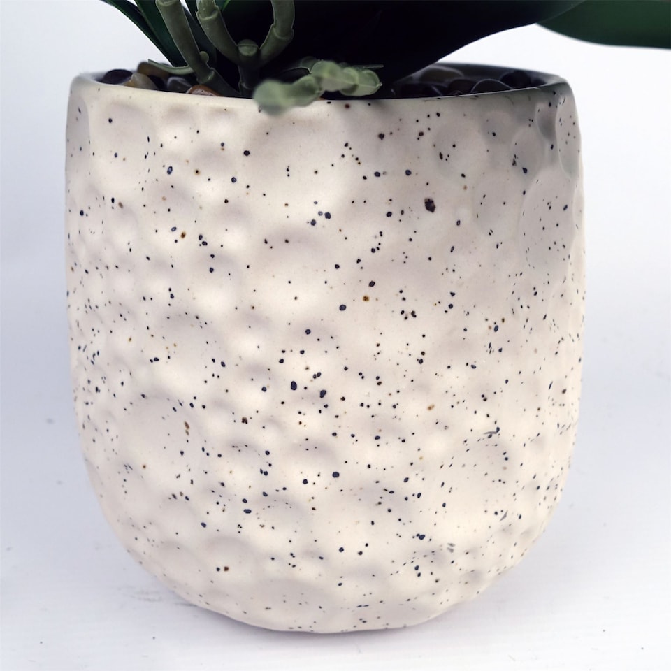 image 1 of 60cm Pure White Artificial Orchid with Ceramic Bubble Planter
