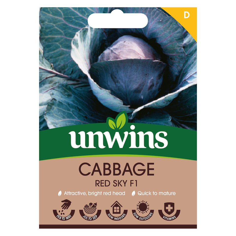 image 1 of Cabbage (Round) Redsky F1 | Multi | Green | 30 Seeds