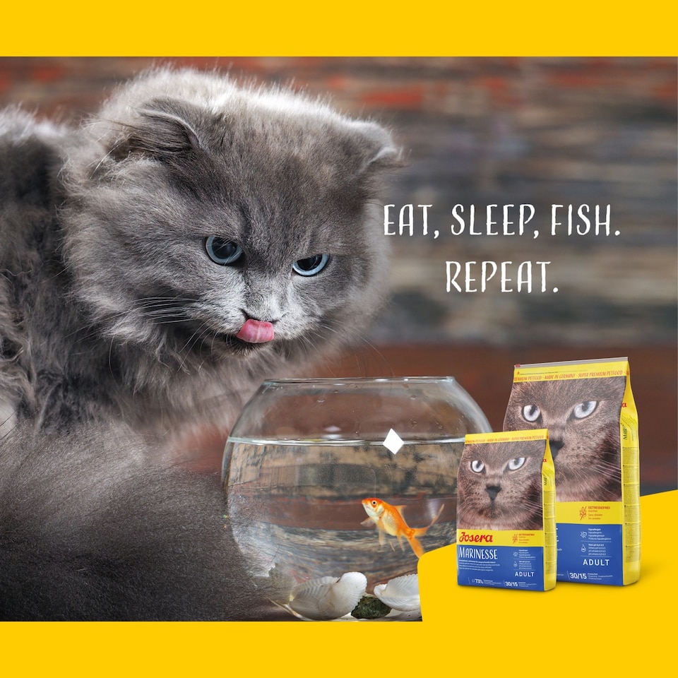 image 1 of Josera Marinesse complete adult cat food | Grain-free | Single animal protein | Salmon | Hypoallergenic | Sensitive | Anti-Hairball | Urinary pH | 10kg