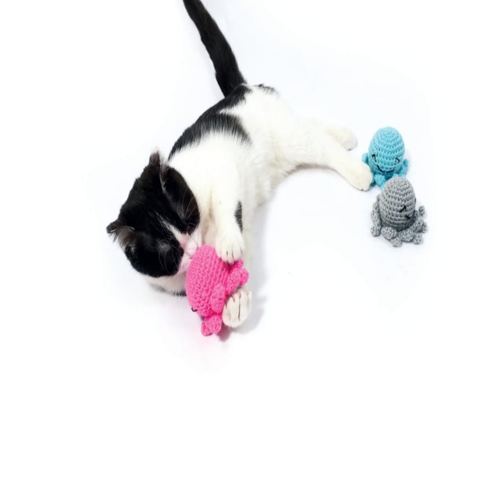 image 1 of M-PETS OCTOPUS - 100% Organic Cotton - Blue
