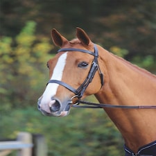 Shires Aviemore Plain Bridle Brown | Size: X-Full
Colour: H.Brown