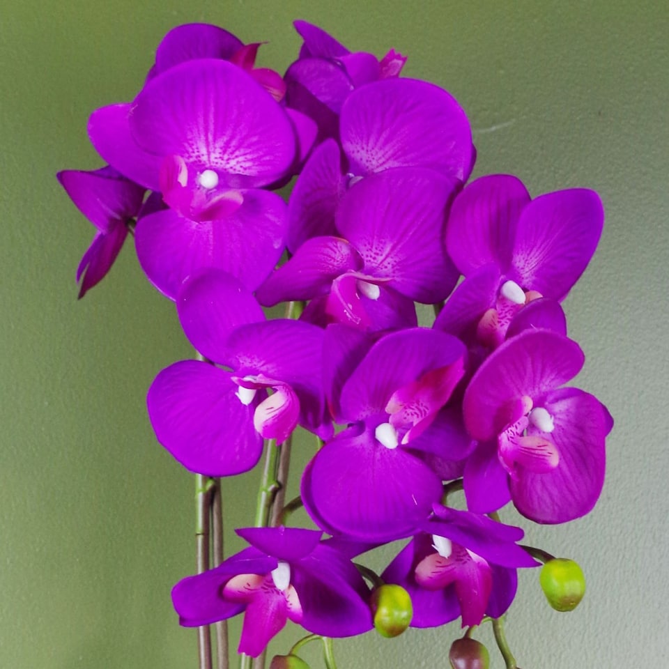 image 1 of Artificial Orchid Large Purple Gold 52cm Botanik