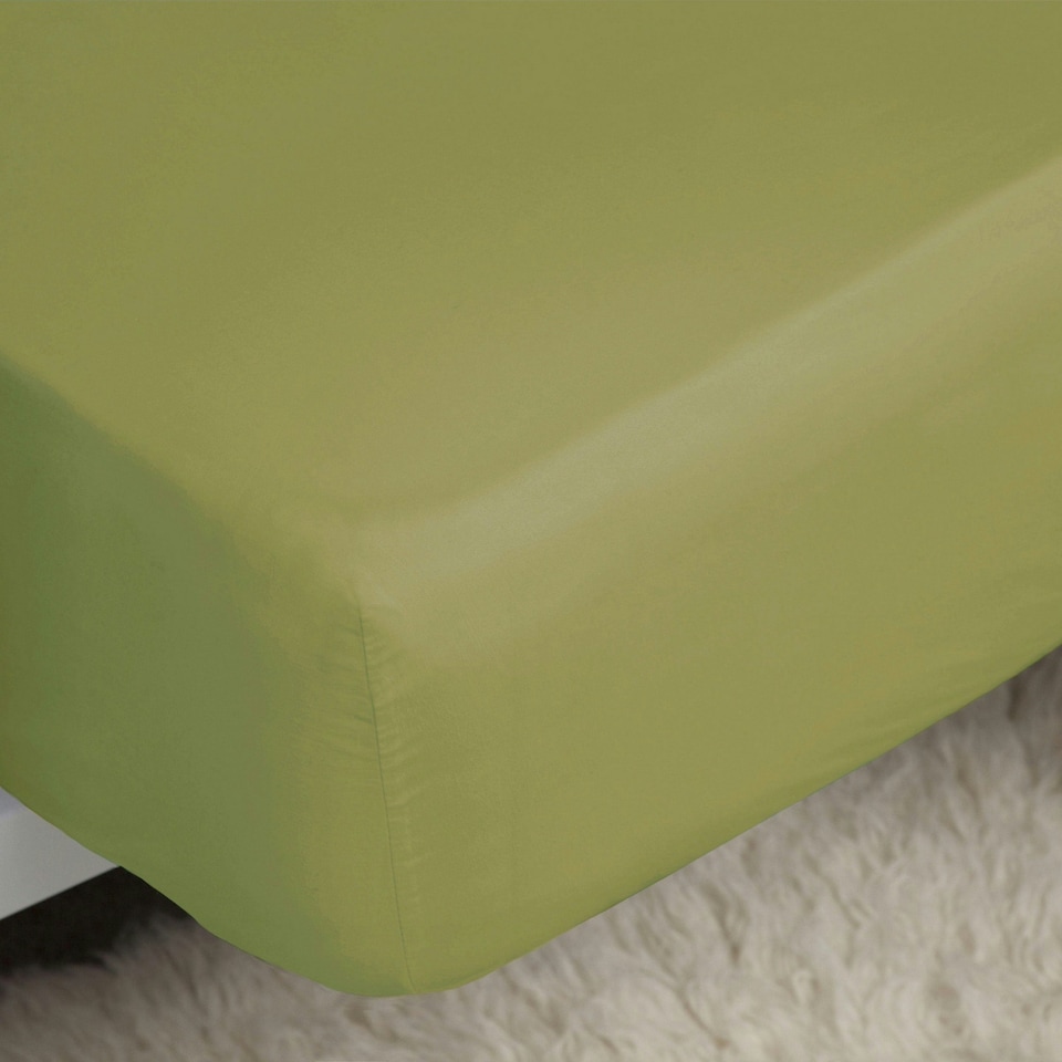 Belledorm Easycare Percale Fitted Sheet - Olive - Kingsize