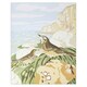 image 5 of Natural History Museum Paint By Numbers Rock Pipits Hanging Kit