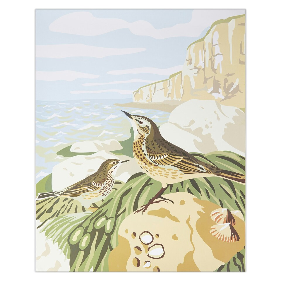 image 1 of Natural History Museum Paint By Numbers Rock Pipits Hanging Kit