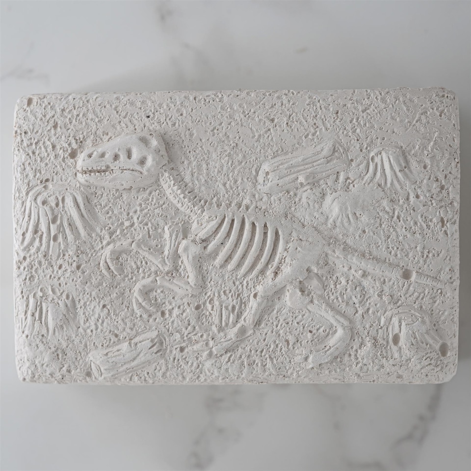 image 1 of The Magic Toy Shop Dinosaur Fossils Digging Excavation Kit Glow in the Dark Science Toy