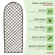 image 3 of Oypla Set of 2 Willow Trellis Fencing Panel Screen Climbing Trellises