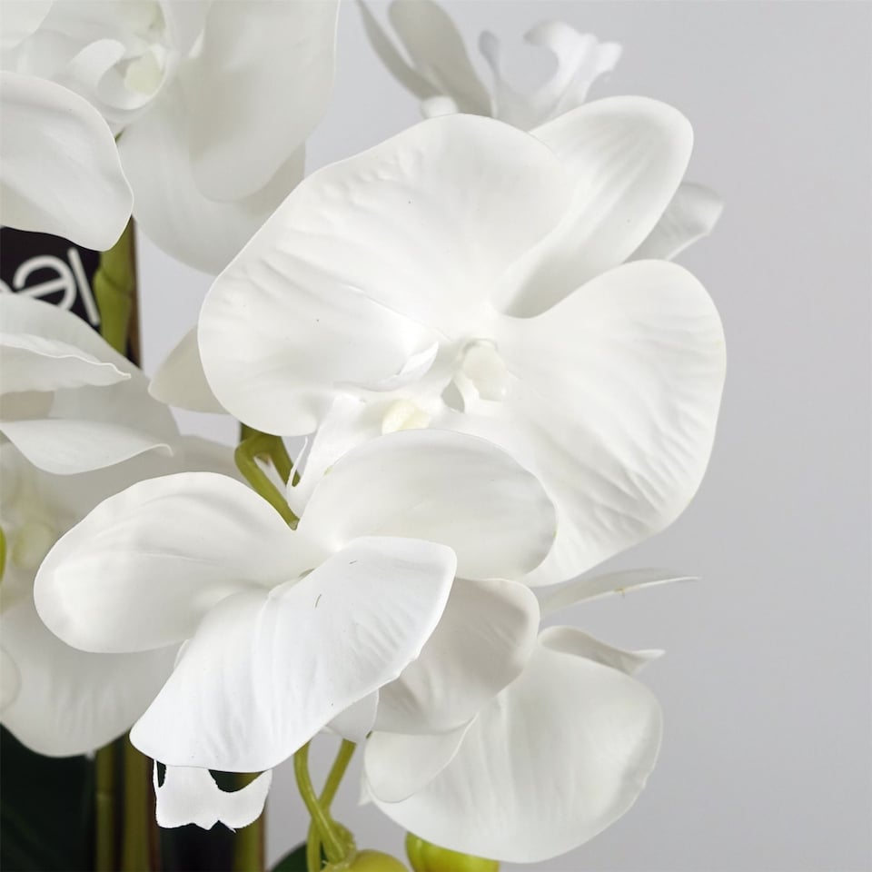 image 1 of 60cm Pure White Artificial Orchid with Ceramic Bubble Planter