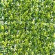 image 4 of Primrose Light Buxus Artificial Garden Patio Hedge Panels 50cm x 50cm