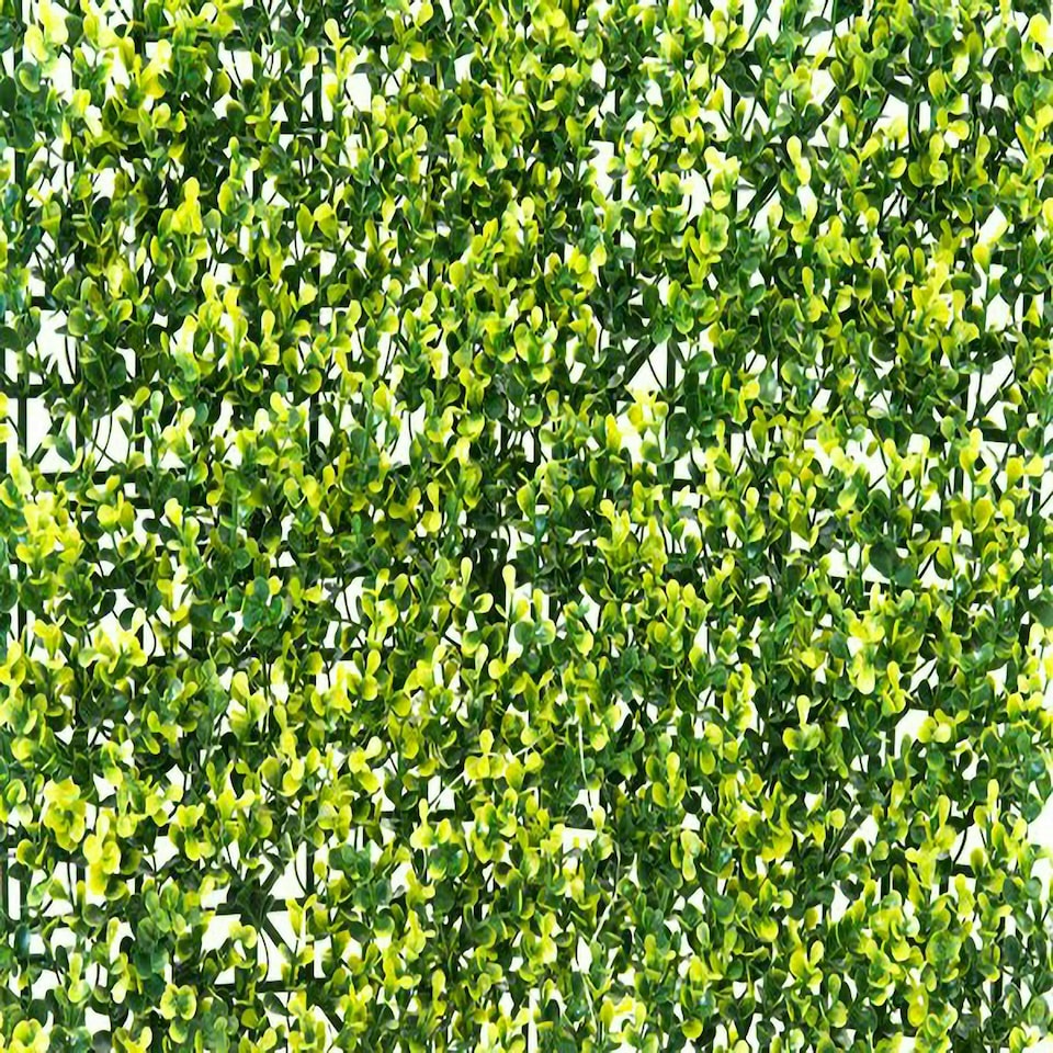 image 1 of Primrose Light Buxus Artificial Garden Patio Hedge Panels 50cm x 50cm