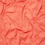 Vivid Coral