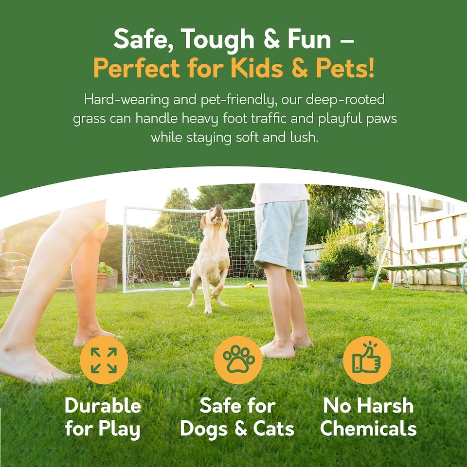 image 1 of Pronto Seed Grass Seed 7KG Premium Quality 420m2 Coverage for Overseeding, Fast Growing & Hard Wearing Lawn Seed, Defra Approved