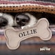image 2 of History & Heraldry Pre-Personalised Squeaky Bone Dog Toy - Ollie