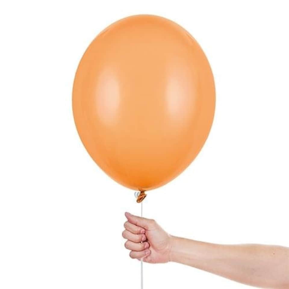 image 1 of Dinosaur Latex Balloons 30cm / 12 in - Pack of 6