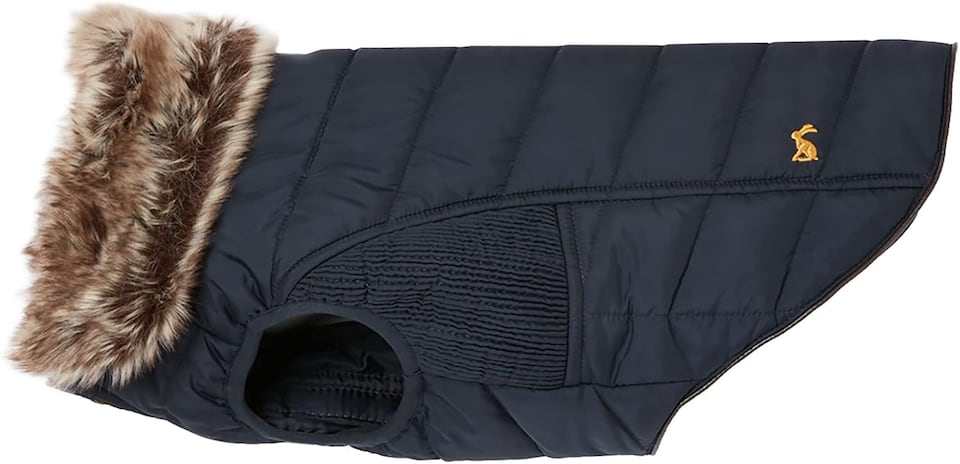image 1 of Rosewood Joules Cherington Coat For Dogs - Medium | Multi