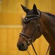 image 6 of Shires ARMA Fly Hood Blue | Size: Cob
Colour: Navy