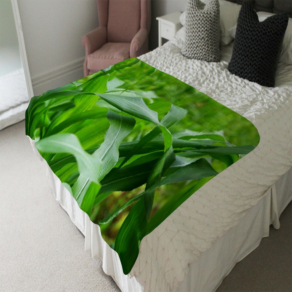 image 1 of Green Leaves corn fields as background (Blanket)